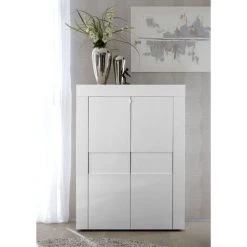 Dmora Buffet Haut Moderne Avec 2 Portes Et étagères, Buffet De Cuisine, Buffet Avec étagères Et étagères, Made In Italy, Cm 92x42xh115, Couleur Blanc Brillant
