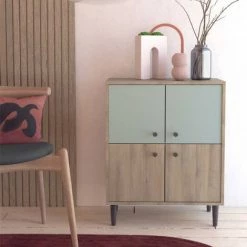 DANSMAMAISON Vaisselier 4 Portes Vert/Chêne - TYARI - L 60..5 X L 28.5 X H 75.5 Cm - Bois