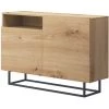 BESTMOBILIER Kyle - Buffet Bas - Bois Et Métal Noir - 120 Cm - Style Industriel Couleur - Bois - Bois